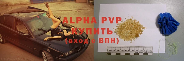 эйфоретик Богданович