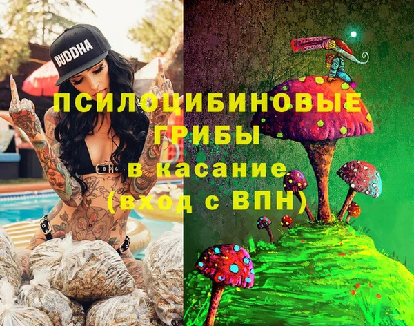 эйфоретик Богданович